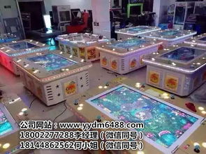 游戲廳電玩游戲機(jī)大全——探訪廣州市番禺區(qū)東環(huán)勇車動(dòng)漫產(chǎn)品開發(fā)部